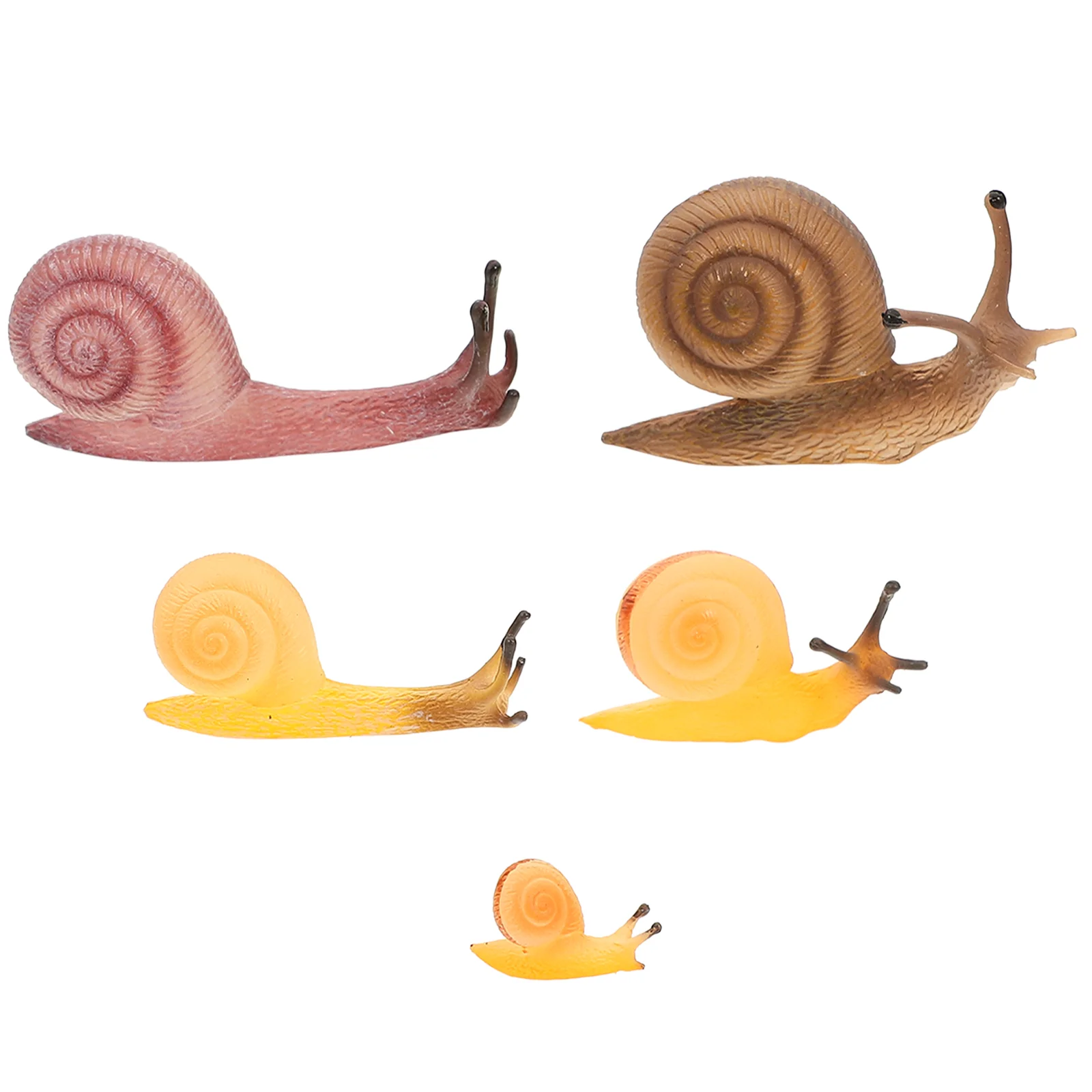 

5 Pcs Simulation Snail Miniature Figurines Model Realistic Decoration Fake Figures Child