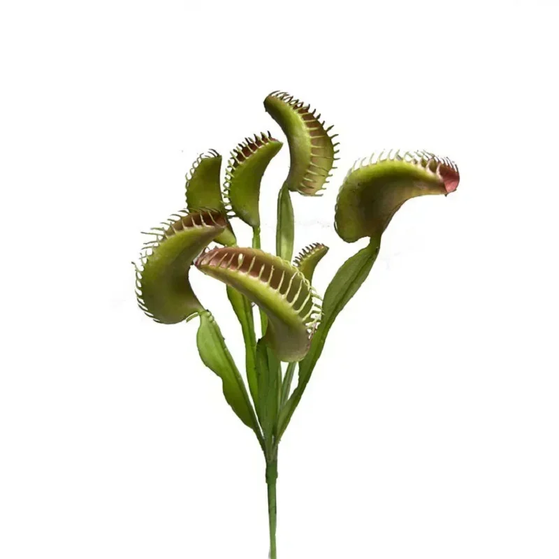 Simulation Venus Flytrap Tropical Rainforest Grass Green Plants Home Garden Decoration Artificial Plastic Man-eating Flower