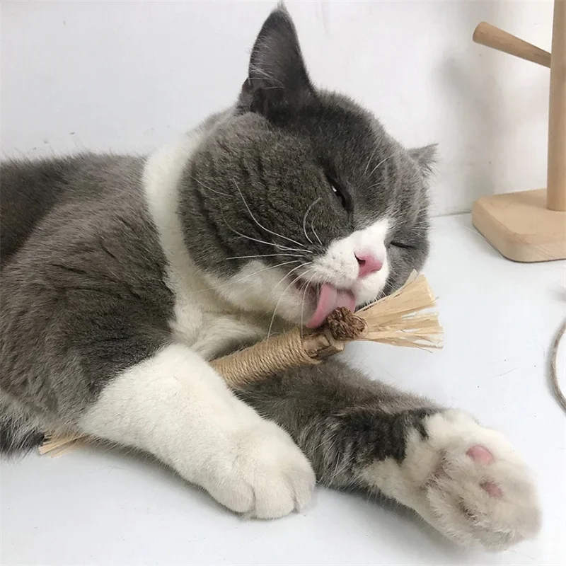 1/5/10/20/40PCS Natural Matatabi Pet Cat Snacks Stick Cleaning Tooth Catnip Actinidia Silvervine For Cats Accessory Pet Cat Toy