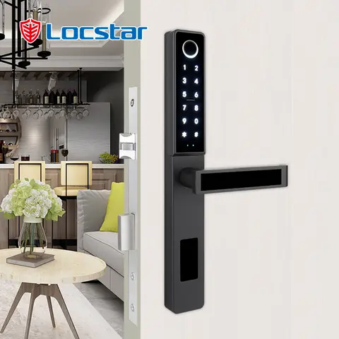 Cerradura Fingerprint TTlock Wifi Handle Digital Regular Tuya Electric Mortise Key Interior Keypad Smart Door Lock