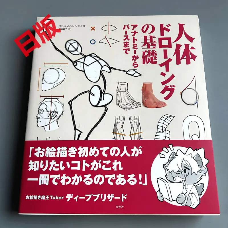 Basic Human Anatomy Drawing From Anatomy To Perspective Anime and Illustration Art Reference Book Japanese Edition