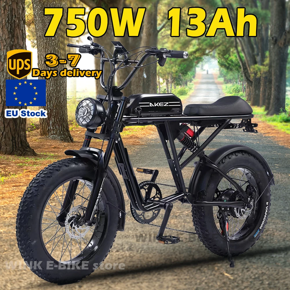 

Electric Bike for Adults 20" Fat Tire Ebikes with 750w Brushless Motor 48V 13AH Removable Battery E Bicycle Bike Dual Suspension