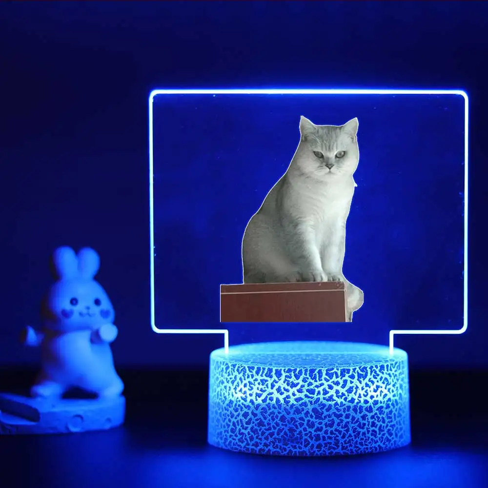 Jiuyue lámpara acrílica Visual 3D de gato divertido, decoración de habitación de niños, regalo de cumpleaños para niños y niñas