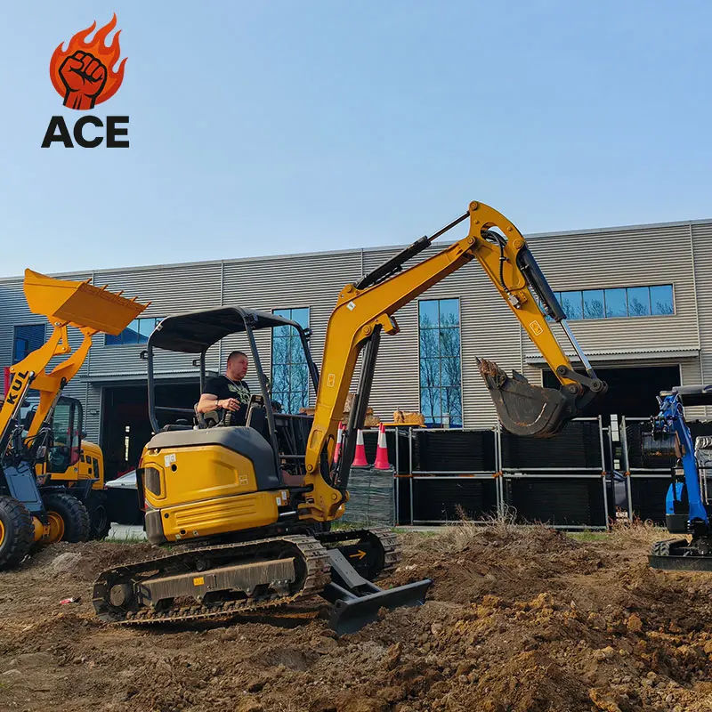 3 ton excavator kubota engine mini Digger bagger excavator customized full hydraulic mini excavator with free shipping