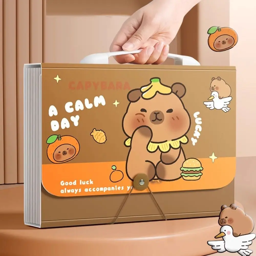 Cute Capybara A4 File Folder Large Capacity 13 Pockets File Organizer Waterproof Cartoon Document Bag