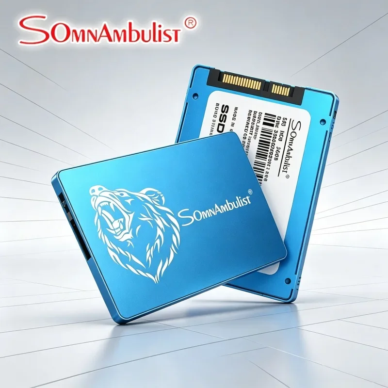 

SomnAmbulist SSD Solid State Drive 128GB 240GB 256GB 480GB 512GB 960GB Solid State Drive Sata3 SSD 1TB 2TB SSD for LaptopDesktop