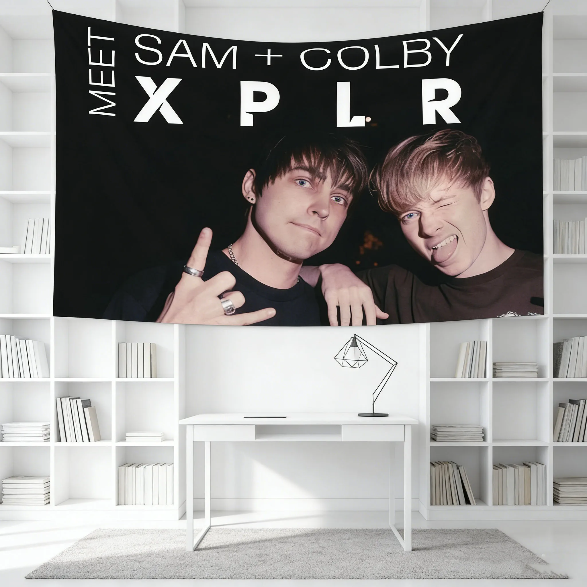 Sam & Colby Tapestry, Fun Wall Hanging Decor for Bedroom, Living Room & Dorm, Trendy Fan Wall Art