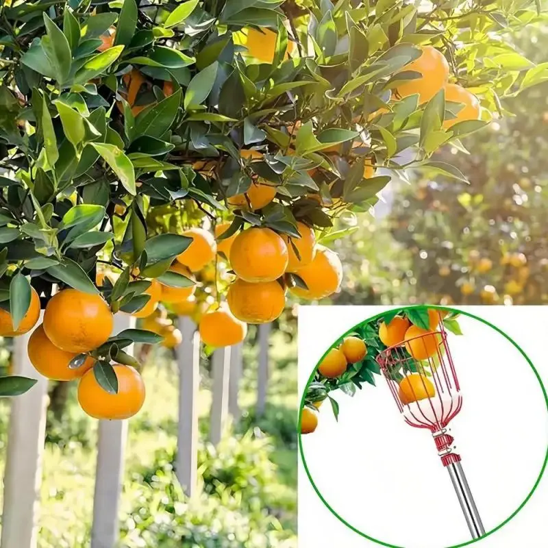 

Stainless Steel Retractable Fruit Picking Cutter Detachable Orchard Metal Picker Metal Rust-Proof Fruit Aerial Collector