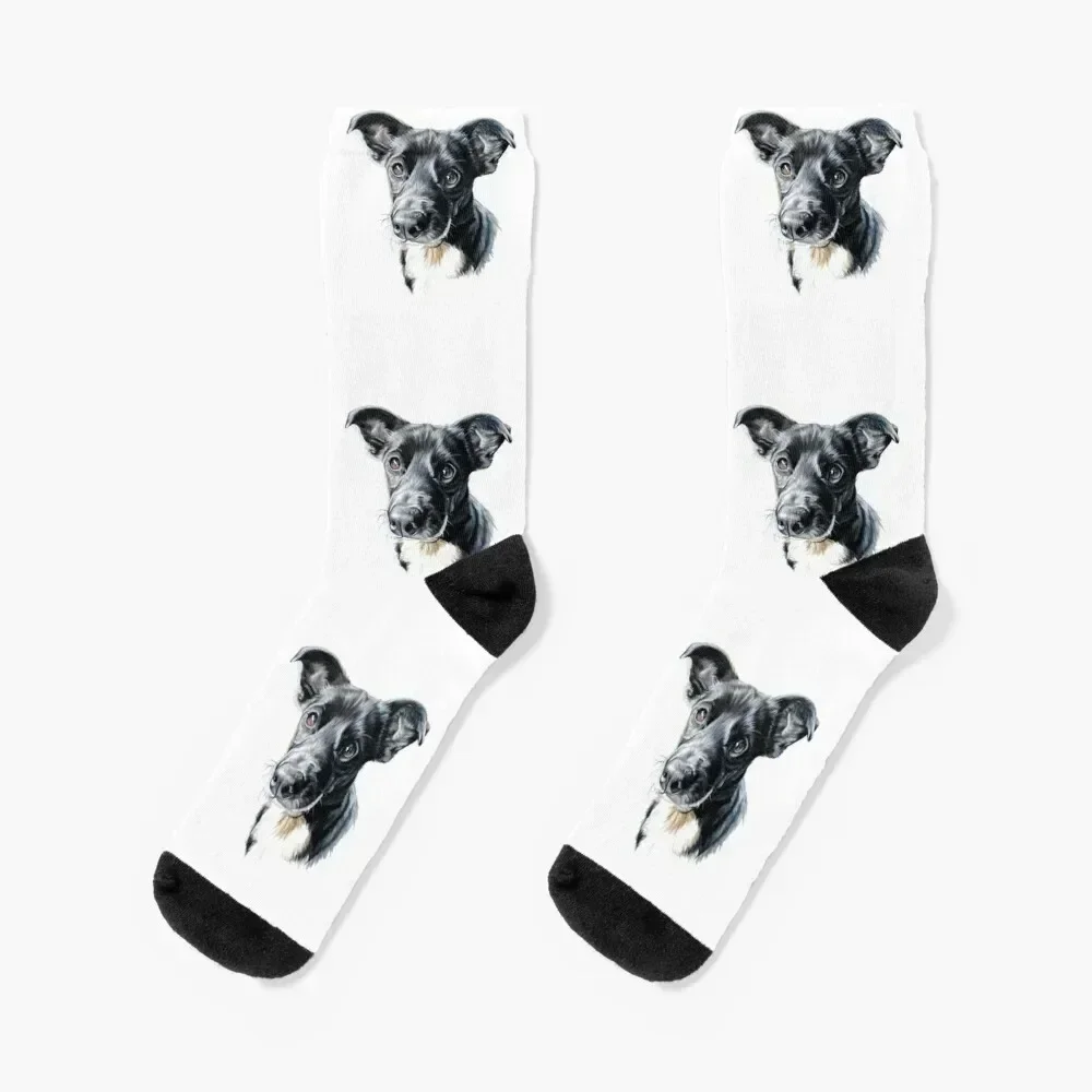 

0277 Socks winter gym Designer Man Socks Women's