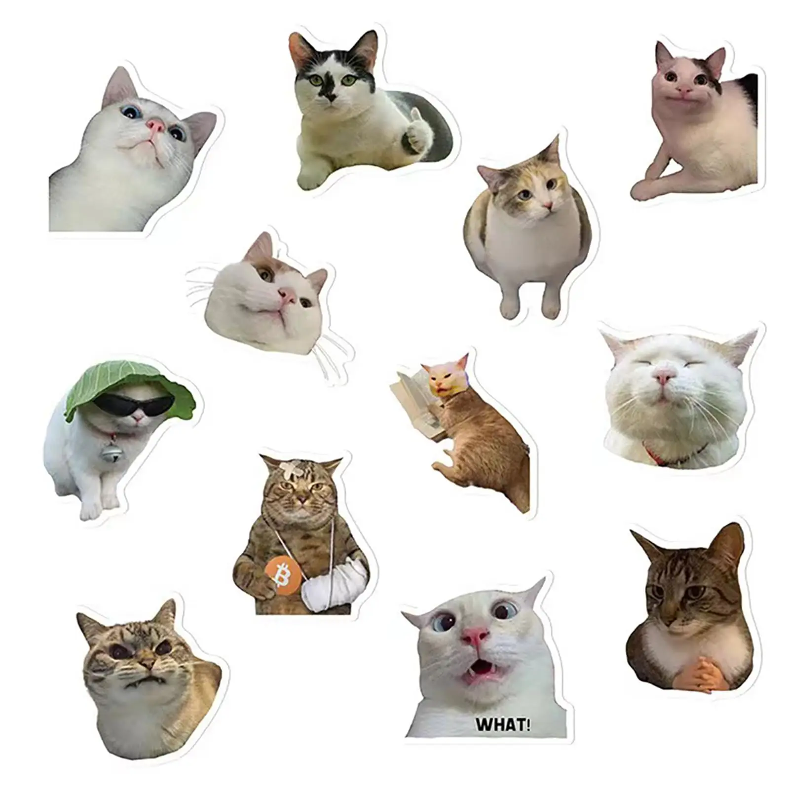 13pcs- Lovely Funny Fridge Magnets Cat Meme Fasteners on Home& Kitchen; Applicable on Refrigerator, Car, Office Cabinets, Dishwa