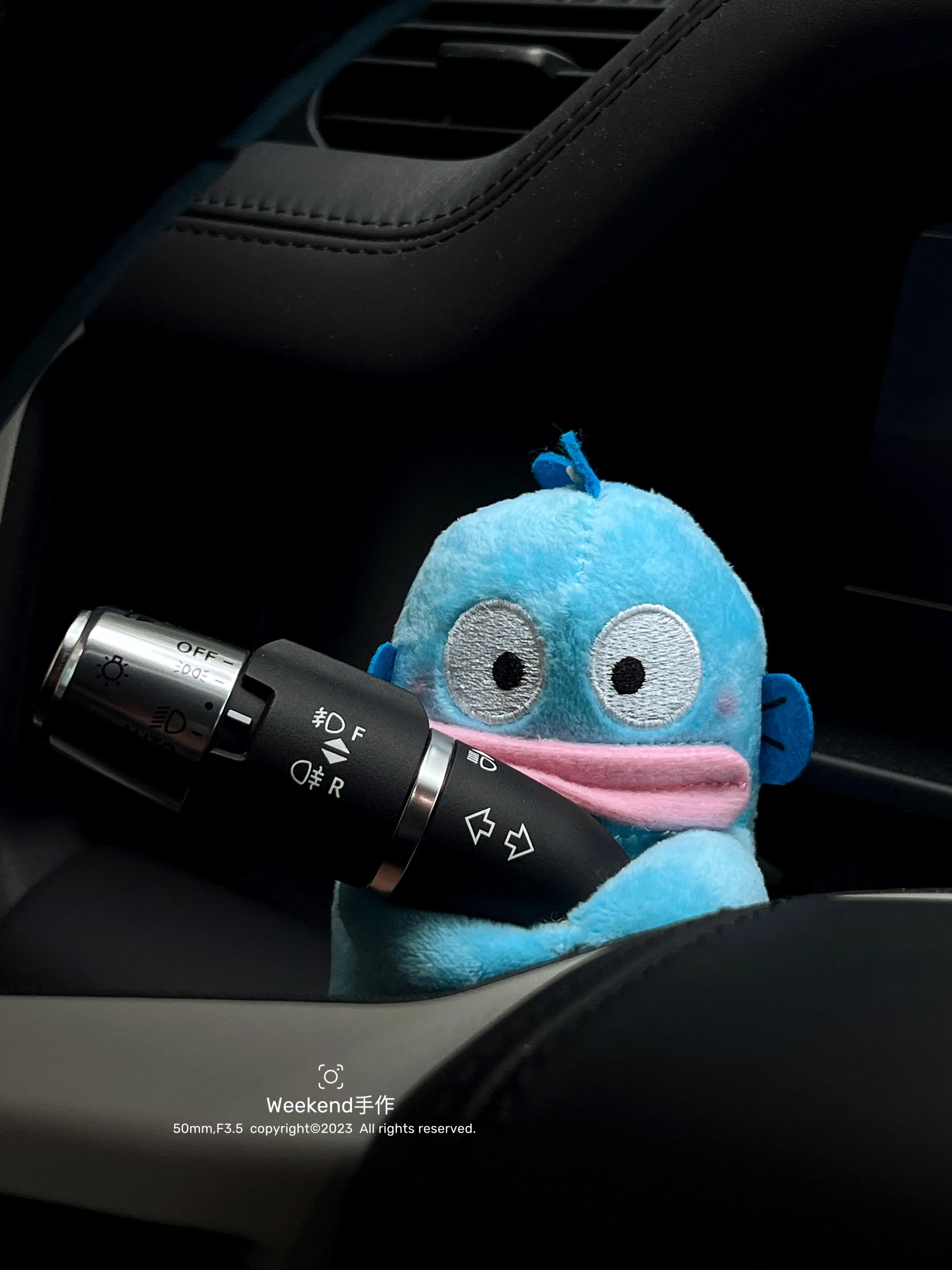 

Cartoon Anime Car Turn Signals Wiper Decoration Kawaii Cute Plush Doll Auto Interior Accessories Gift
