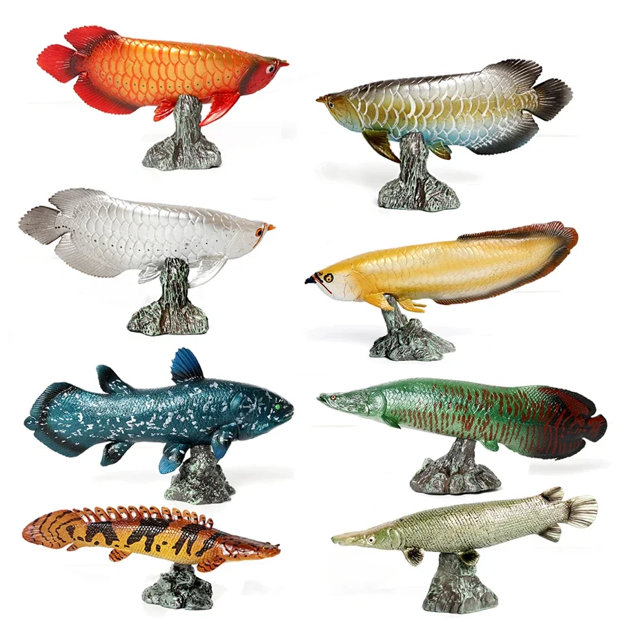 Realistic Ocean Fish Animals Model SeaLife Arowana Figurines Coelacanth Alligator Fish Polypterus Delhezi Action Figure Toy Gift