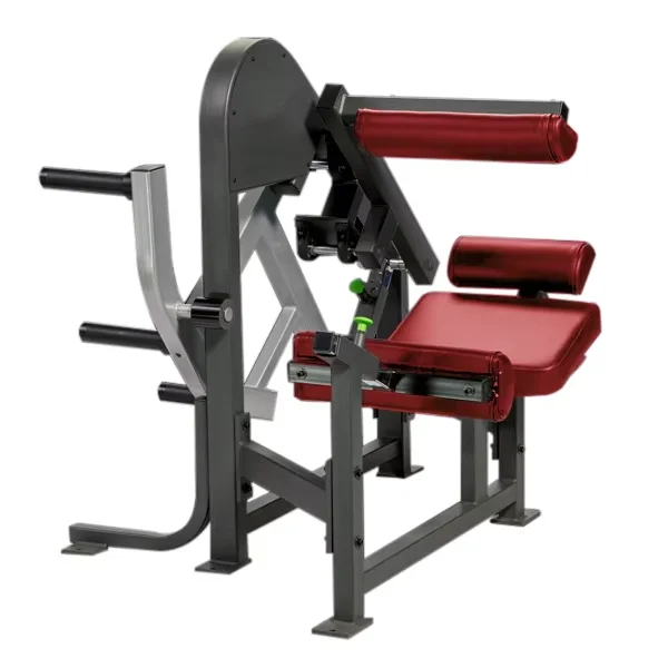 

Hot Selling Professional Gym Fitness Equipment Back Muscle Training Back Extension