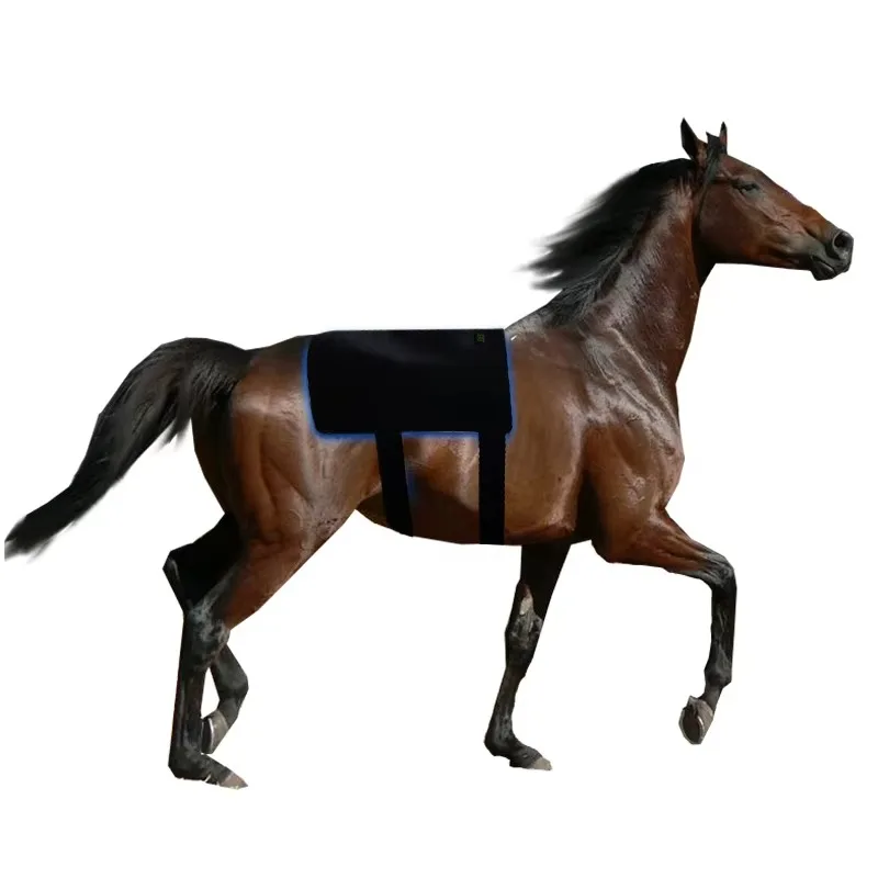 Wavelength Portable 440nm 660nm 850nm Horse Equine Therapy Blue Light Therapy Pads for Horses Back