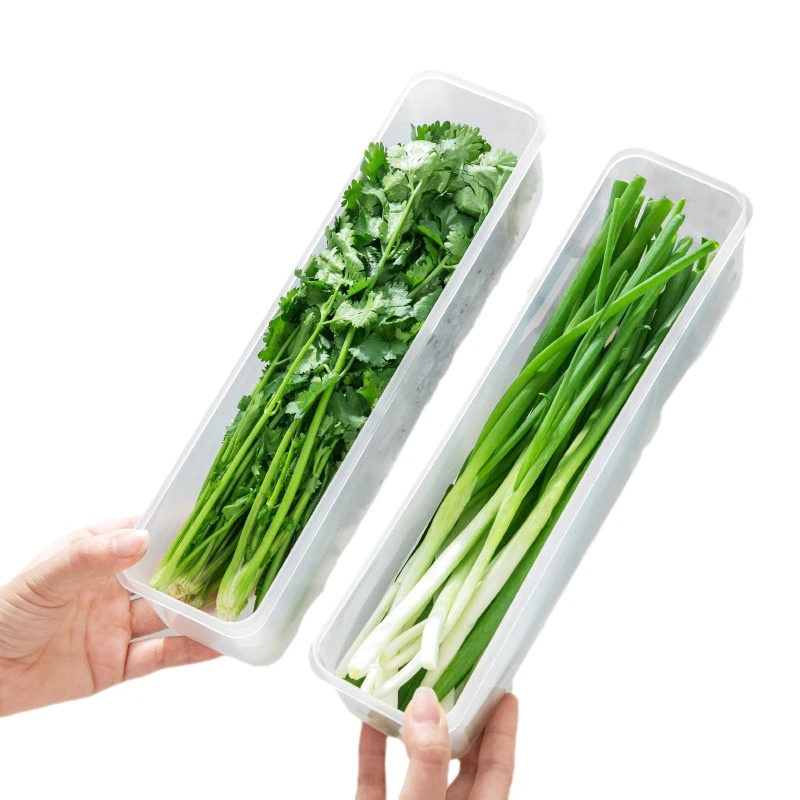 Refrigerator Storage Boxes Cold Storage Crisper Sealed Fridge Organiser Scallions Fresh Box Food Container