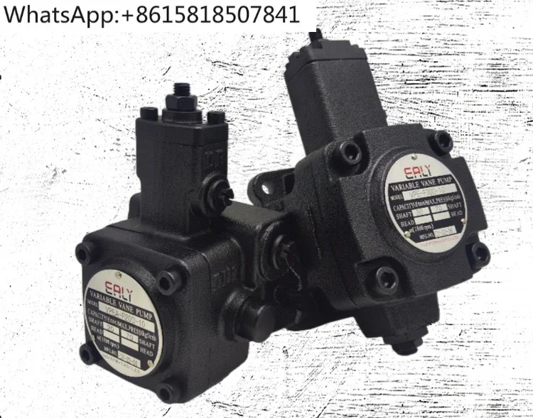 EALY VPE-F20D-10 Variable Vane Pump VPE-F40D C B-10 Oil Pump F30 F15