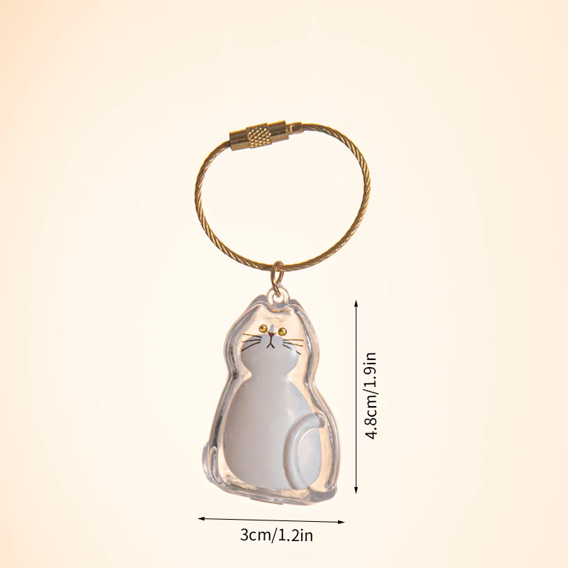 Cápsula Transparente De 4.5 Cm Para Almacenar Pelo De Gato, Llavero Conmemorativo Para Mascotas, Recuerdo Decorativo Para Dueños De Gatos