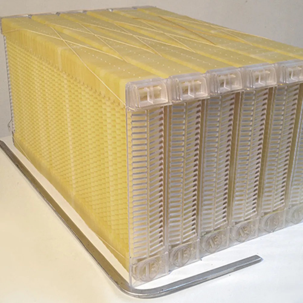 3Pcs Plastic Beehive Foundation Honeycomb Sheet Ideal for Beekeeping Operation Saving Time Building Process