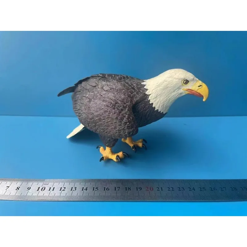 Maßstab 1:6, großer Raptor, Weißkopfseeadler, Simulationstier, Seeradler-Modell für 12-Zoll-BJD-Actionfiguren, Szene, Ornament