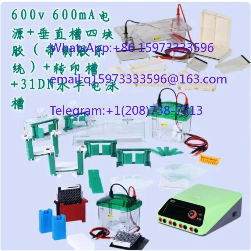 Universal Mini Vertical Electrophoresis Tank Lab SDS PAGE Western Blot Apparatus Replacement Cell Matching MiniProteanTetra