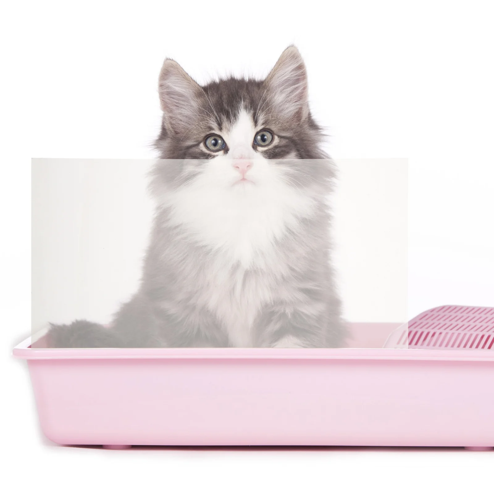 

3pcs Cat Litter Box Splash Guard 1mm Thick Transparent 300x400mm Pet Toilet Enclosure Reusable Erasable Easy Clean Portable