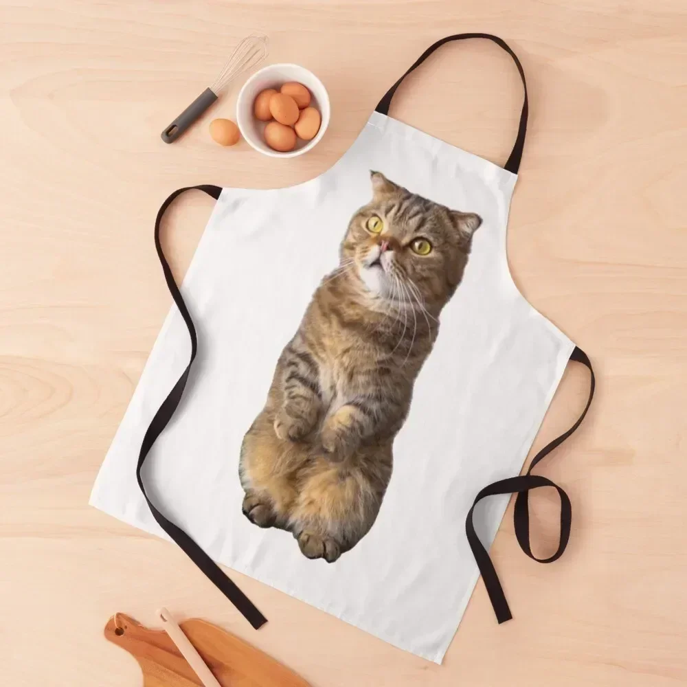 

Милый стоячий фартук LuLu (Kittisaurus) для кухни, женский рождественский фартук для парикмахера 2025, мужской фартук для маникюра