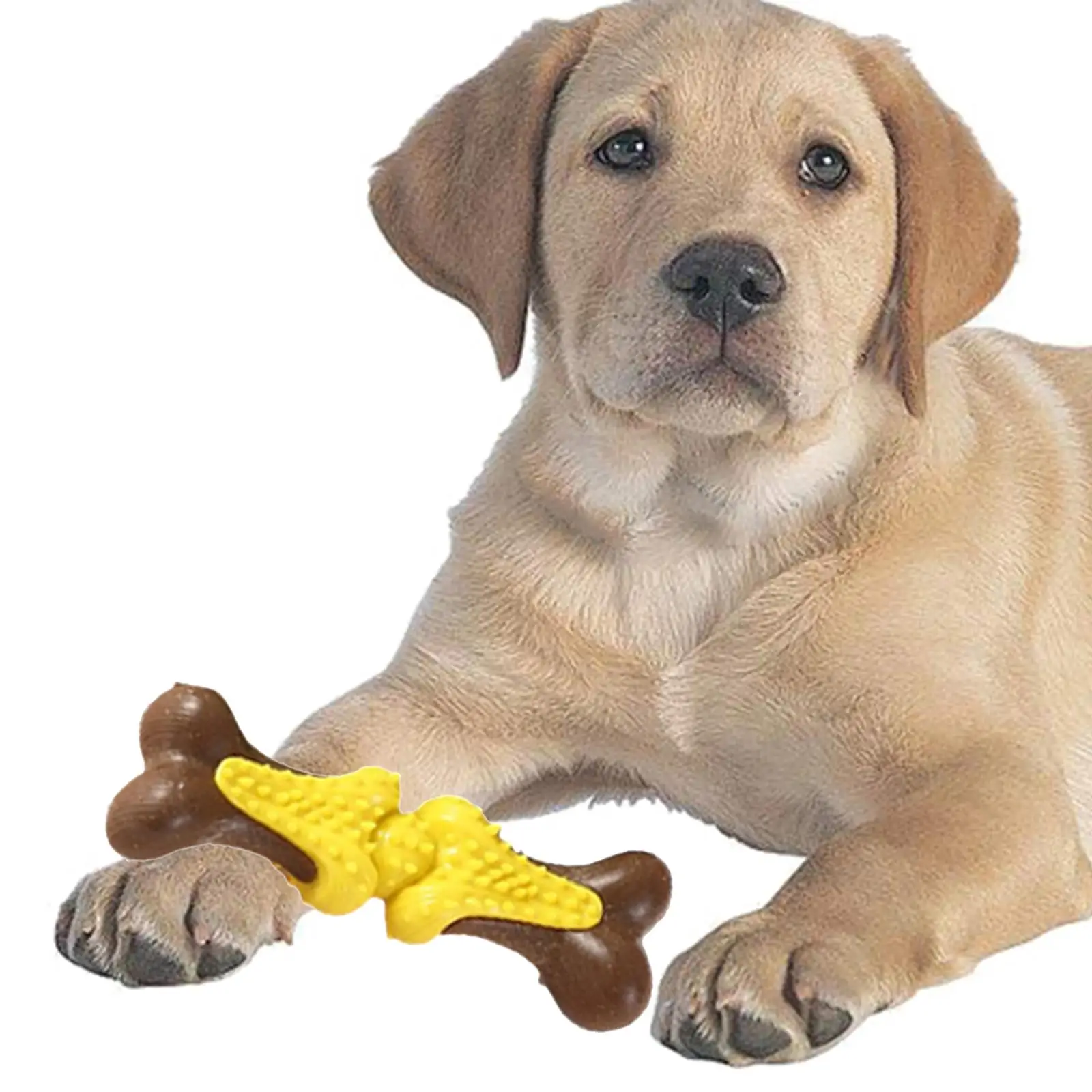 Dog Chew Toy Puppy Teething Bite Resistant Bone Shaped Interactive Toys Durable Dog Toys for Medium/Large Breeds Pets Supplies