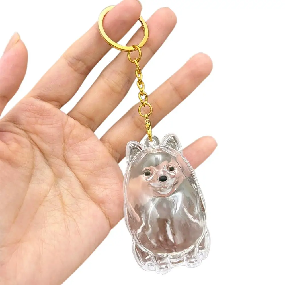Aufbewahrungsbox für Hundehaare, Tierfellbehälter, Schlüsselanhänger, transparente Kapsel, Andenken, Gedenkgeschenk für Hunde, Trauermittelanhänger für den Verlust eines Haustiers – Detail 15