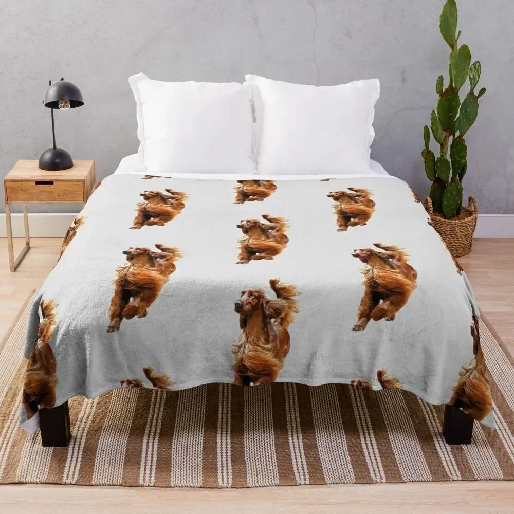 

Irish Setter - Glamorous Dog! Throw Blanket Thin Soft Blanket for Summer Night Sleeping