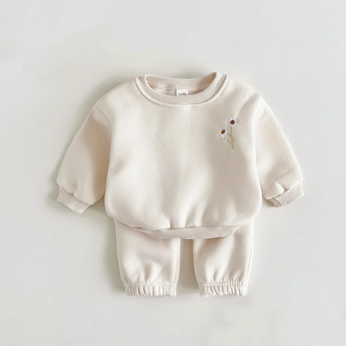 Winter Baby Girls Boys Clothes Thick Plush Minimalist Style Flowers Embroidery Warm 2PCS Sweatshirt + Pant Kids Tracksuit