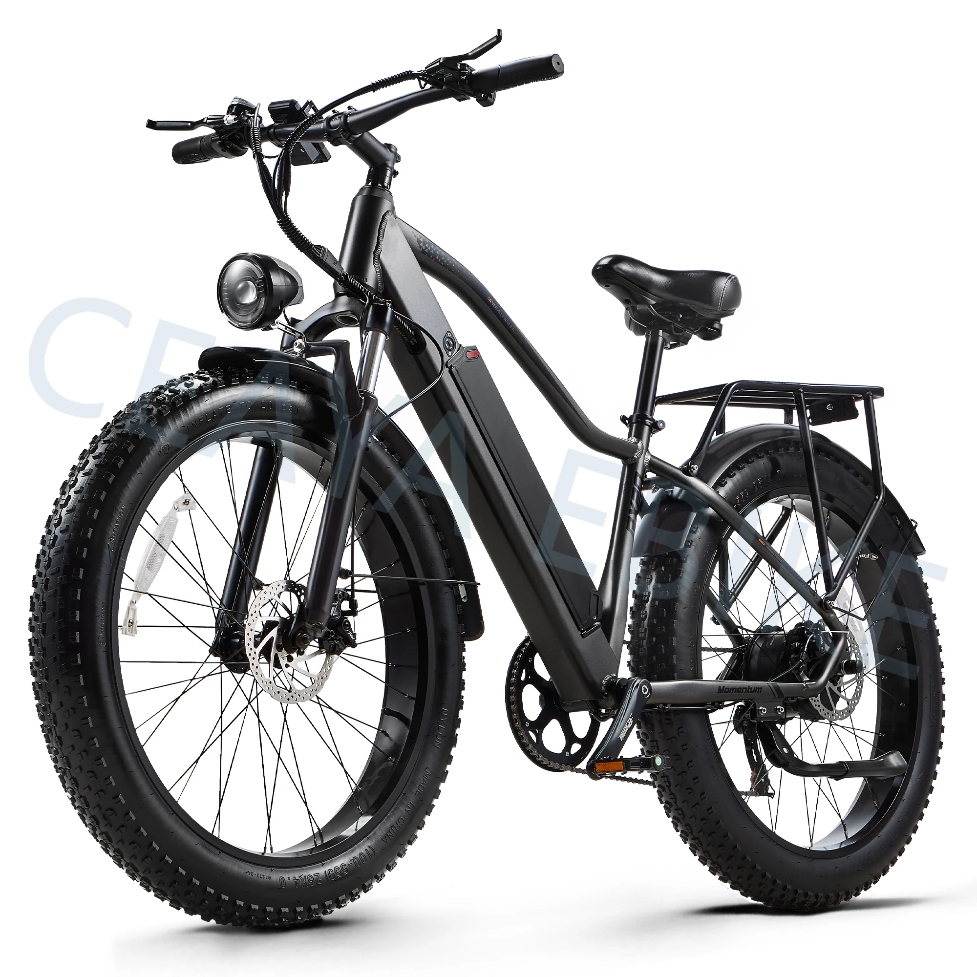 RX20 Electric bike 26*4.0 fat tyre ebike 48V/20A Removable Battery E-mountainbike 1000W Motor Commute E-Bike Men & Women