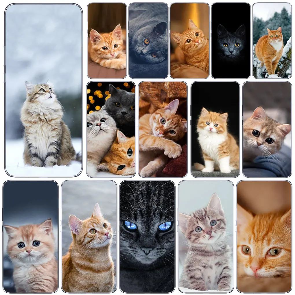 Meow Eyes Kitten Cat Cover Phone Case for Samsung Galaxy A04 A14 A23 A34 A54 M23 M33 M52 M53 M30S M31 M51 M21 Funda Soft Casing