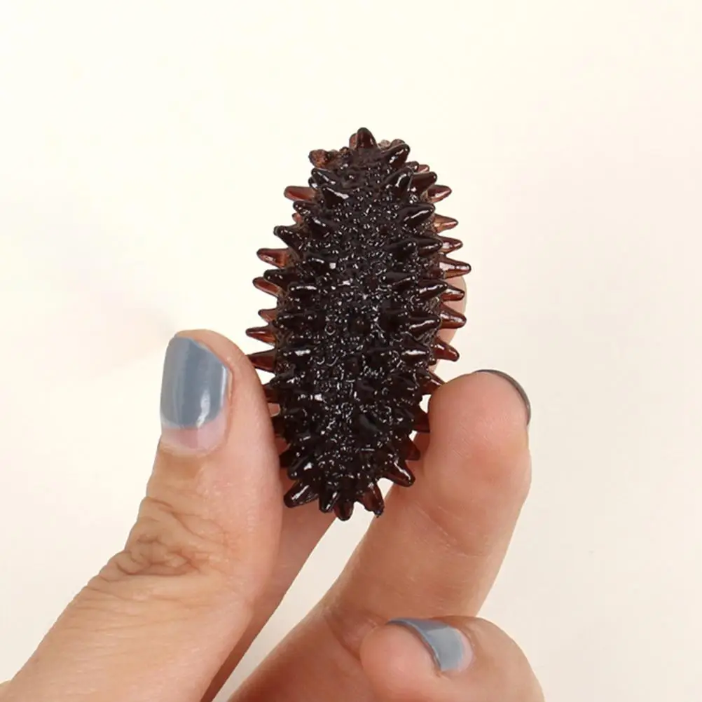 6 Pcs Lifelike Simulation Sea Cucumber Model Decor Photo Prop Artificial Fake Plastic Seafood Display Home Education Toy