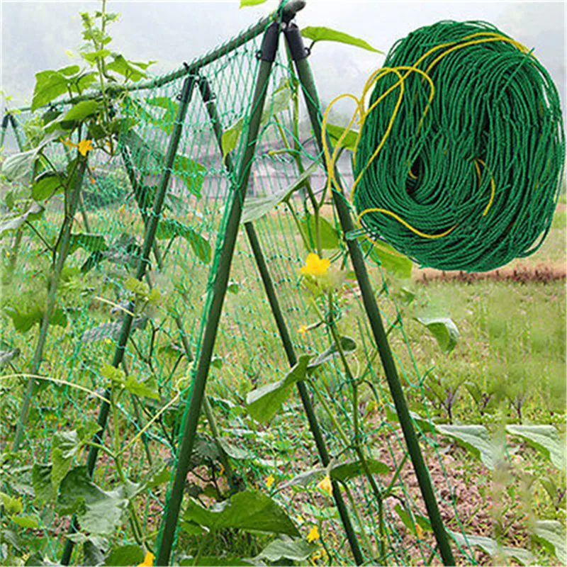 1pc 500cm*180cm/197in*70.8inPlant Climbing Vine Net, Green Horticultural Grid Net, Cucumber Hanging Gourd Climbing Net, Bracket