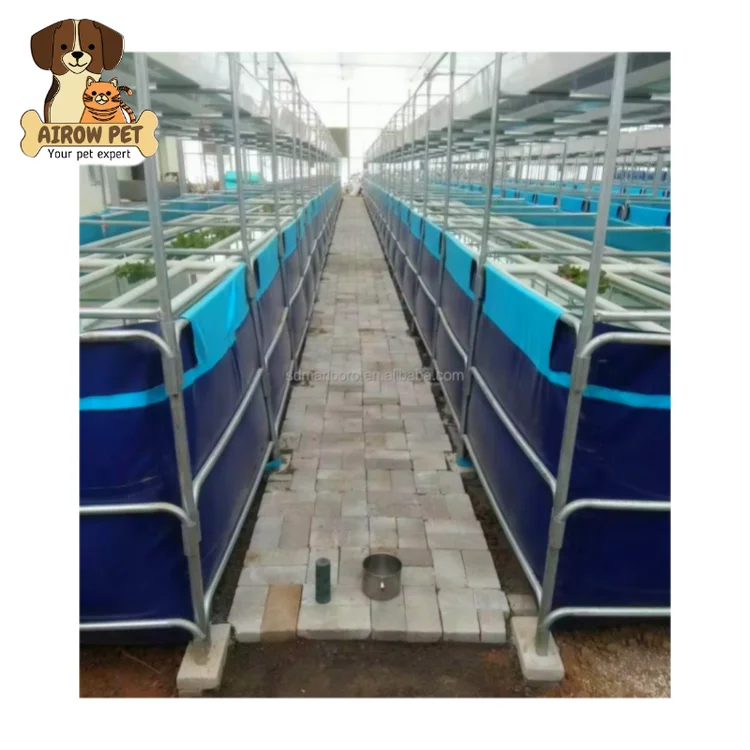 Airow SDM PVC Tarpaulin Medaka Aqarium Sump Aquarium Filter Fish Tank