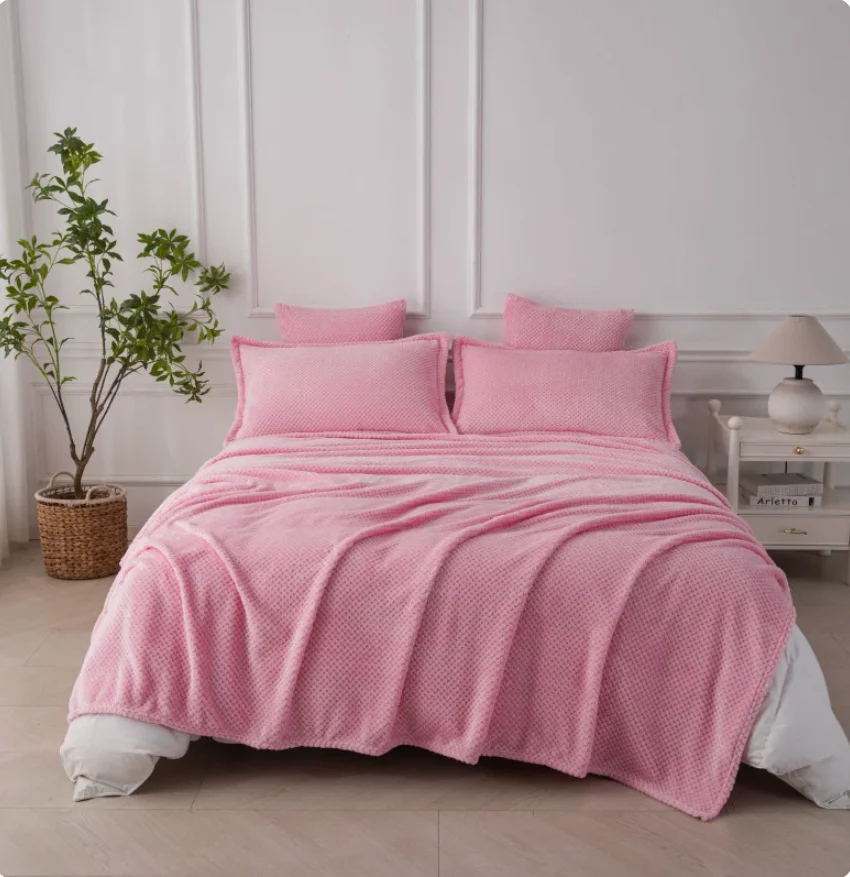 2026 New Fleece Bedding 3 Piece Set Soft Warm Flannel Coral Fleece Bed Sheet Pillowcase Air Condition Sofa Bed Throw Blanket