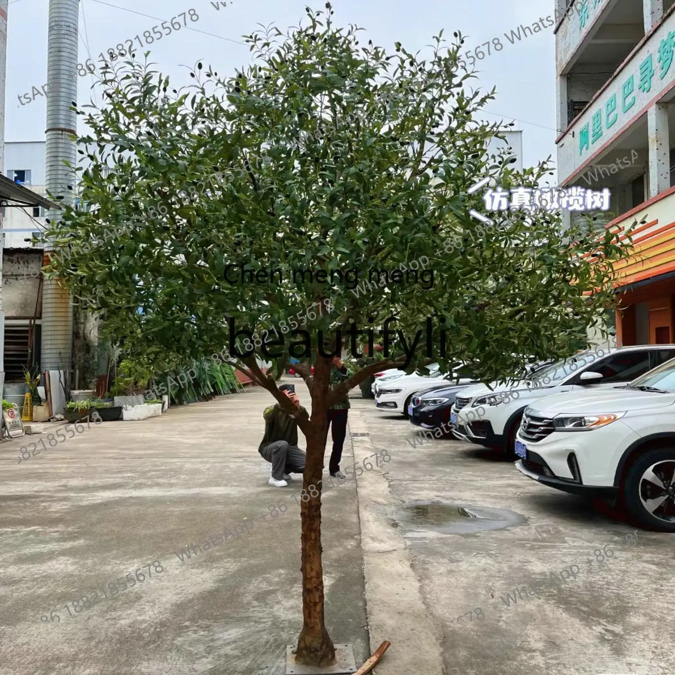 

N178 Solid wood simulation tree olive, potted Nordic home living room, floor fake green plant decorative tree