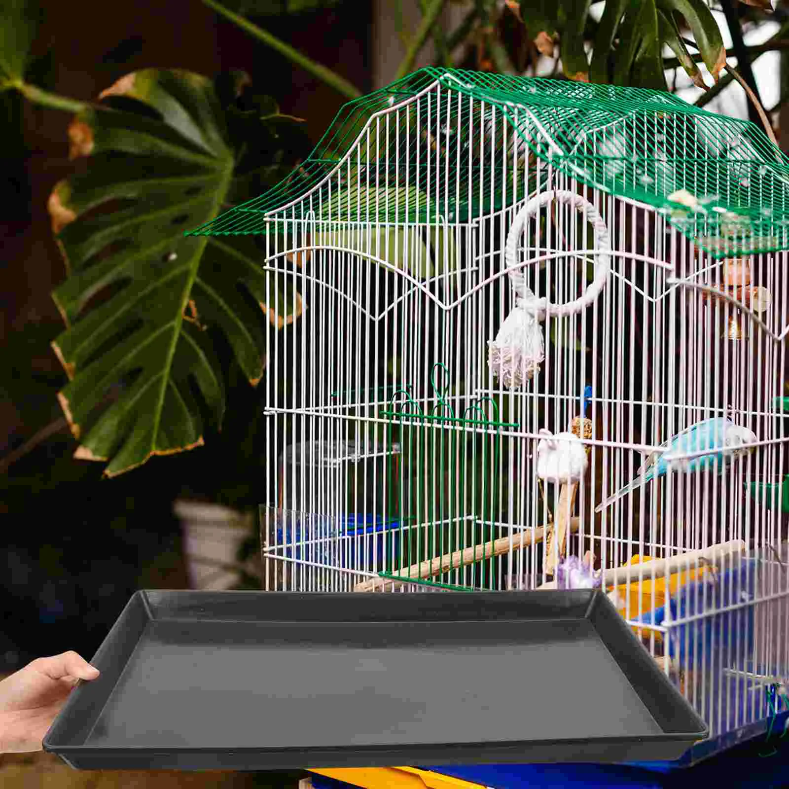 2 Pcs Bird Cage Tray Dog Potty Rabbit Birdcage Bunny Bottom Plastic for Crate Parakeet Toilet Pan Cages Large