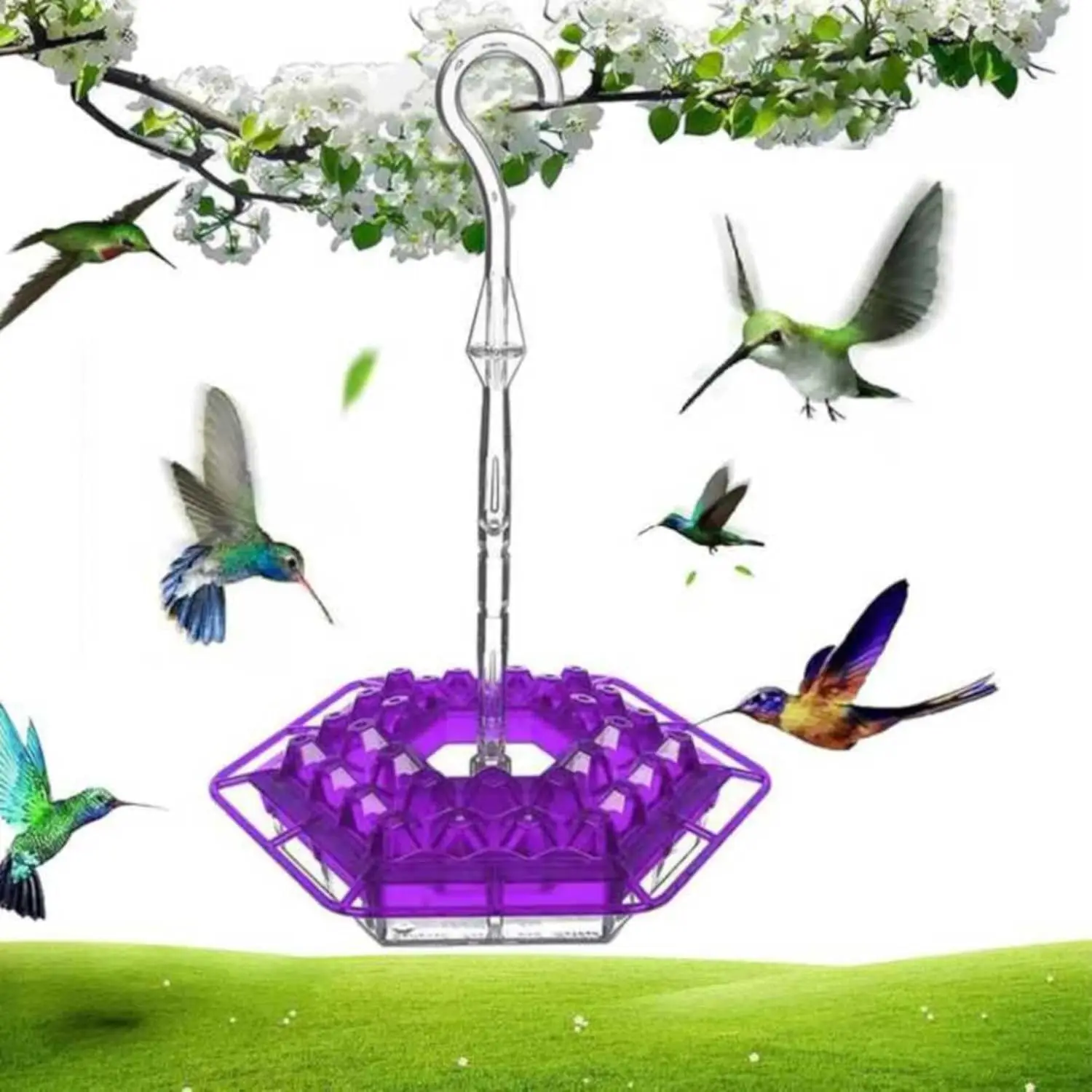 #65 Most Popular Automatic Feeders