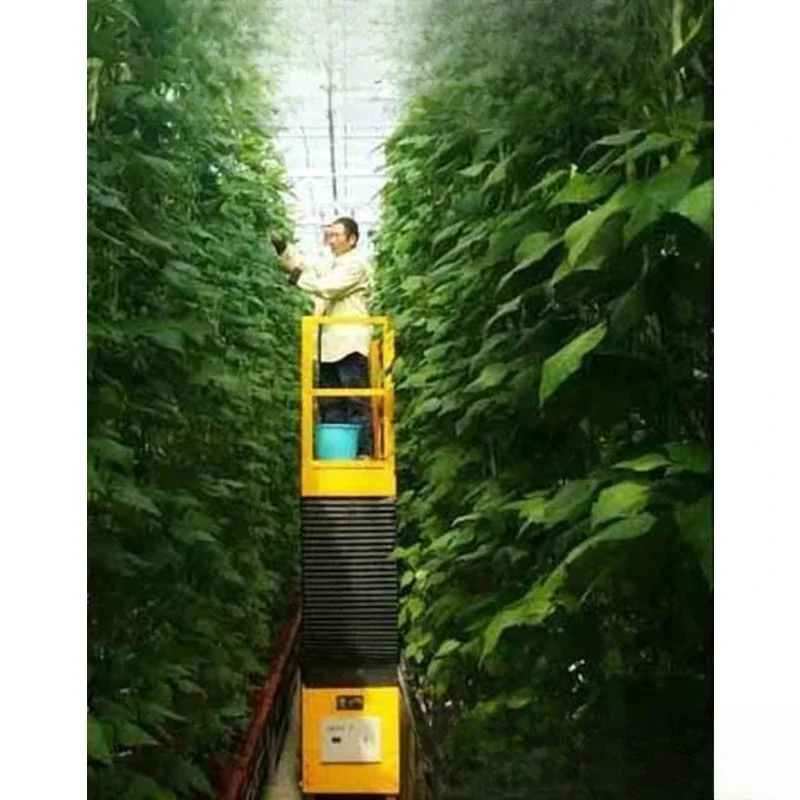 Small electric lifting platform/mobile picking trolley/greenhouse tomato strawberry public rail dual-purpose walking lift