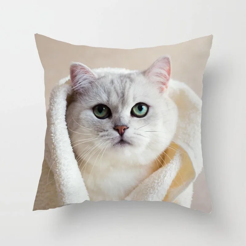 

Cat Sofa Pillow Cover Cushion Cover 40x40cm Pillowcase Cushion Case Sofa Bed Home Decor Living Room Car Office