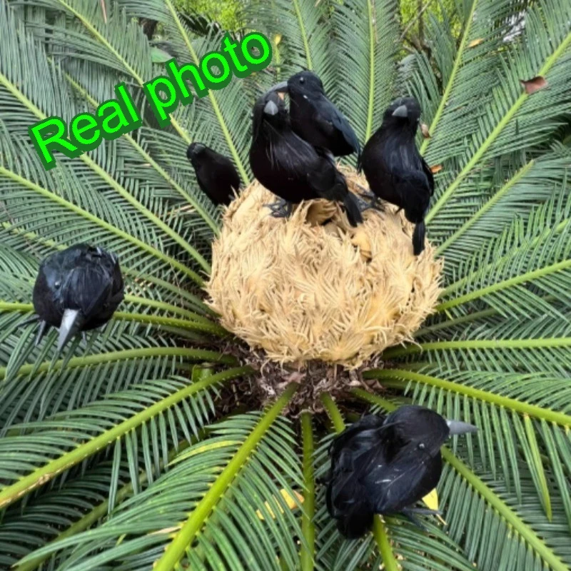1-5PCS Realistic Black Crow Decoration Flocked Feather Animal Prop Horror Halloween Decor for Home Garden Party Display