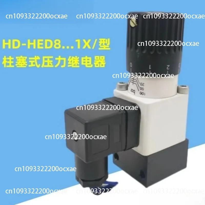 

Pressure relay HD-HED80P1X/100 200 350K14 L24 L220 AS KW base plate installation, pipeline installation, vertical installation