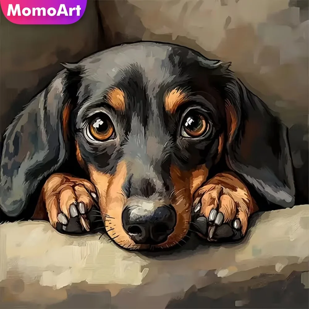 

Momoart DIY Diamond Mosaic Dog Full Square Round Diamond Painting Animal New Arrival Suitable for Beginners Holiday Gifts
