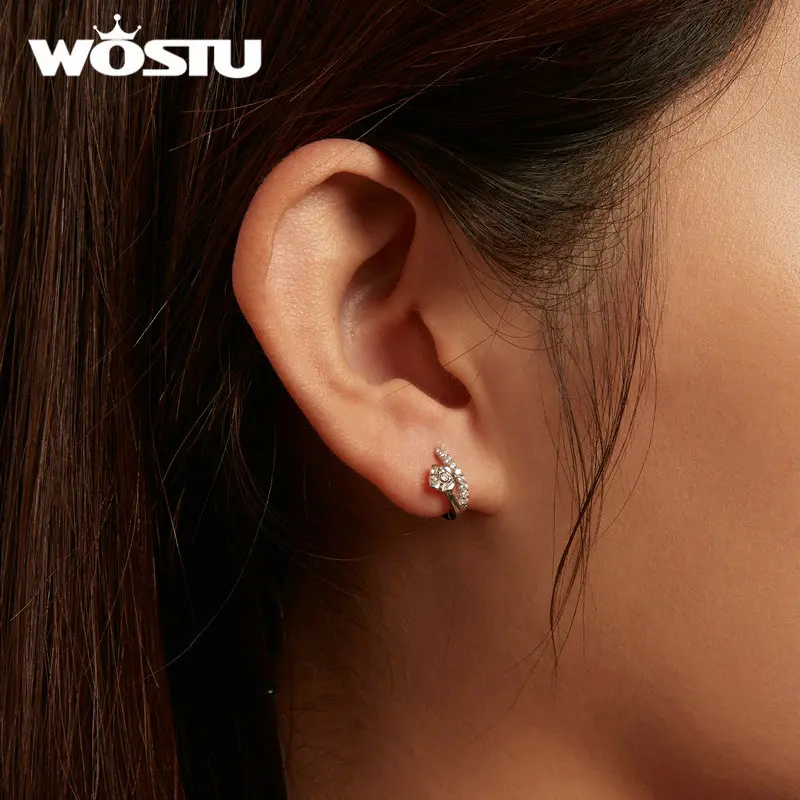 WOSTU 925 Sterling Silver Special Zircon Flower Hoope Earrings For Women Star Stud Earring Cute Jewelry Gift Minimalism CTE750