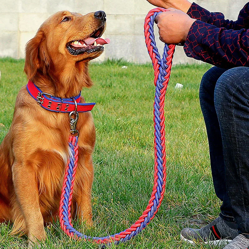 130cm/51.2in Durable 8-strand Braided Nylon Dog Leash Adjustable Collar Combo for Large Breed Dogs Training Walking