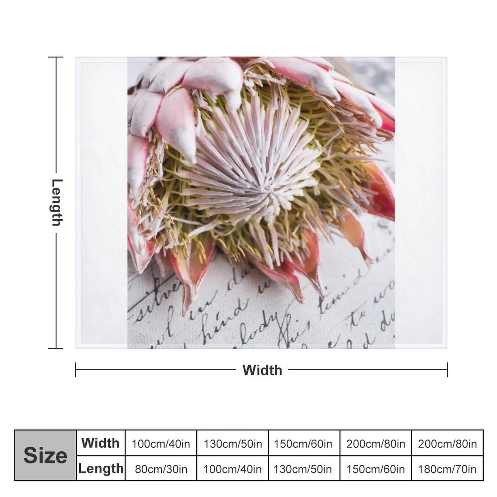 Pink King Protea Throw Blanket Bed covers Flannel for babies Blankets