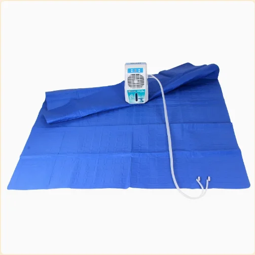 

Cooling water cooled seat cushion, heat dissipation device, seat cushion, laptop heat dissipation pad
