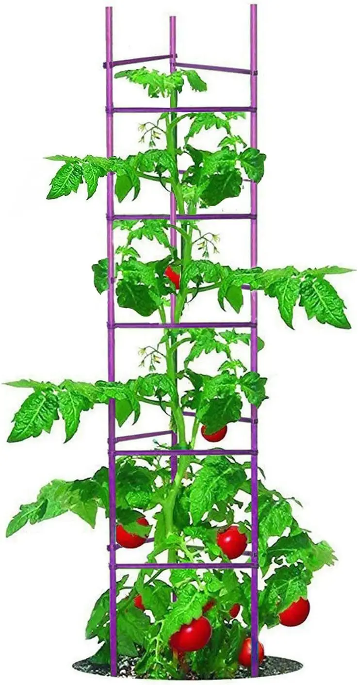 Large Tomato Cage 6 Pack Upto 73 inch Tall Tomato Trellis Garden Stakes Plant Support,Purple(5ft Stake add 18 inch Adjustable St