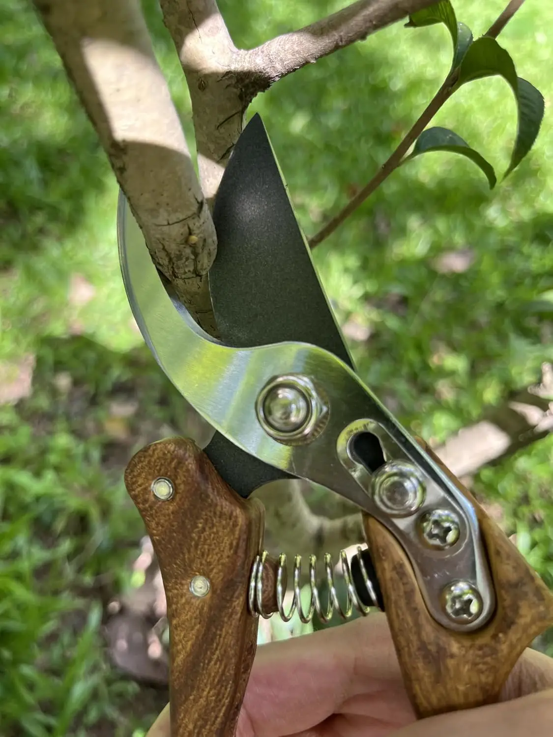 Tijeras de jardín, cortadores de ramas florales japoneses, tijeras para jardinería, tijeras para flores, podadoras de flores, podadoras de mano